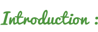 Introduction :